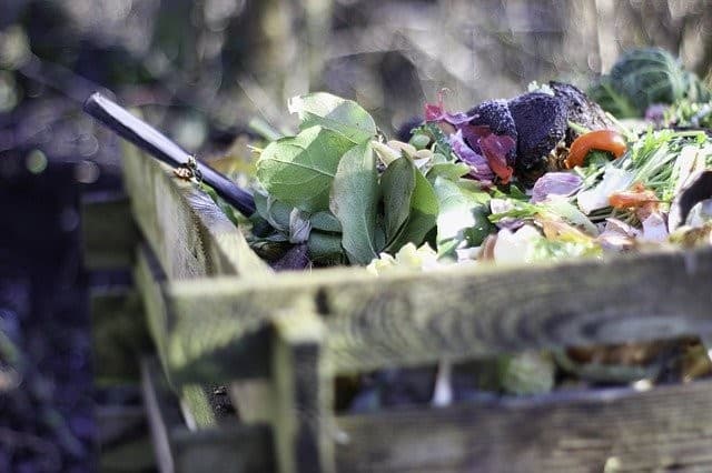 Should I Add Water To My Compost Bin? - Ready To DIY