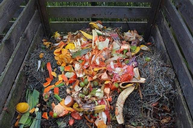 Compost Tumbler vs. Compost Bin: Which One is Better 