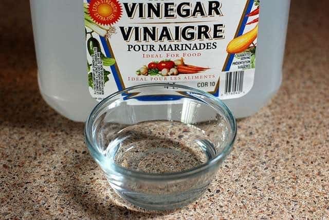 Ready DIY Does Vinegar Remove Bleach Stains From Carpet FeaturedIm