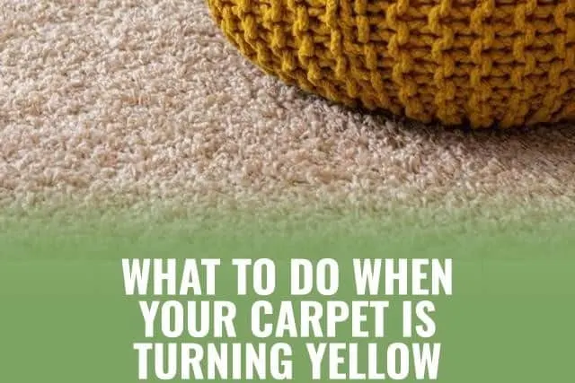 Carpet Turning Yellow after Cleaning? Here's What to Do