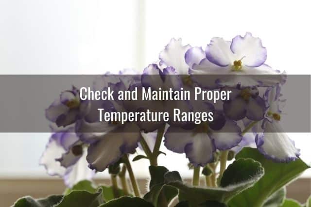 Check and Maintain Proper Temperature Ranges