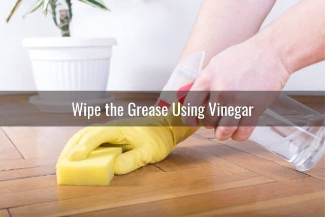 Wipe the Area Using Soapy Water