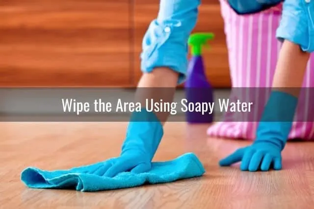 Wipe the Area Using Soapy Water