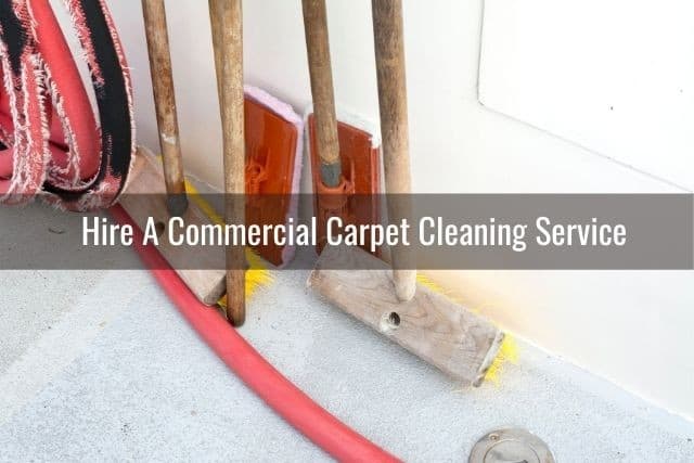 neatorobotics com support