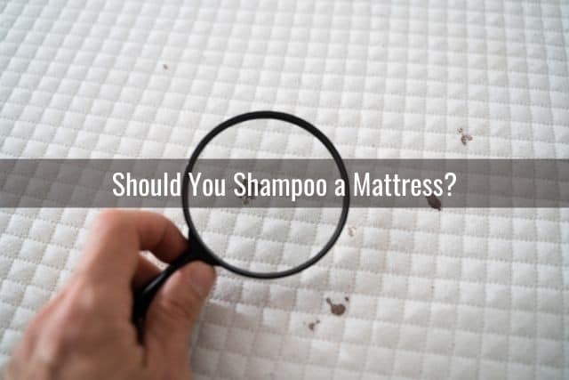 can you use kirby shampooer on mattress