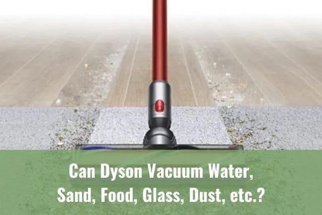 Vacuum picking up confetti on a rug carpet