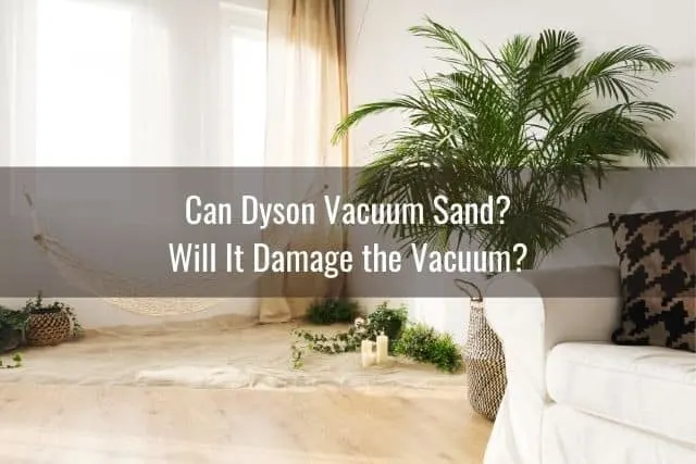 Living room with sand and palm tree in corner