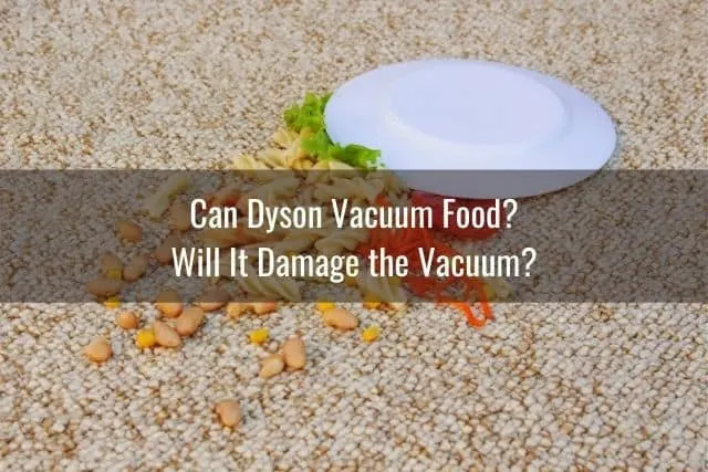 A fallen plate of food on the carpet