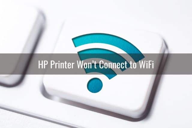 hp print and scan doctor cannot find network printer