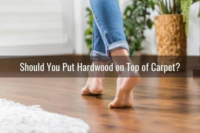 Walking on hardwood floor