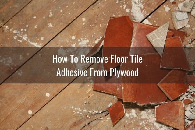 How To Remove Tile Grout/Tile Adhesive From Wood Floor - Ready To DIY