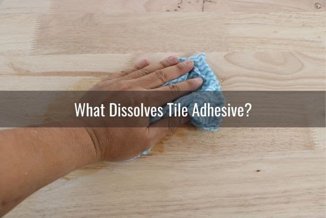 How To Remove Tile Grout/Tile Adhesive From Wood Floor - Ready To DIY