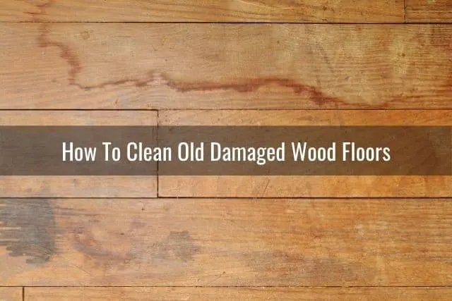 Water damaged hardwood floor
