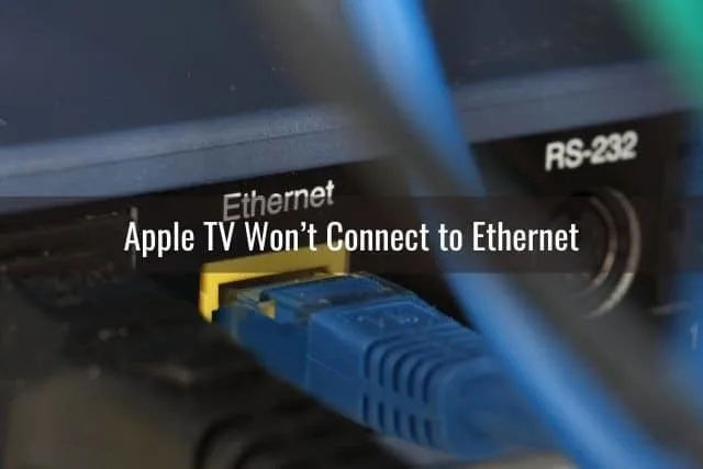 Cable plugged into Ethernet port