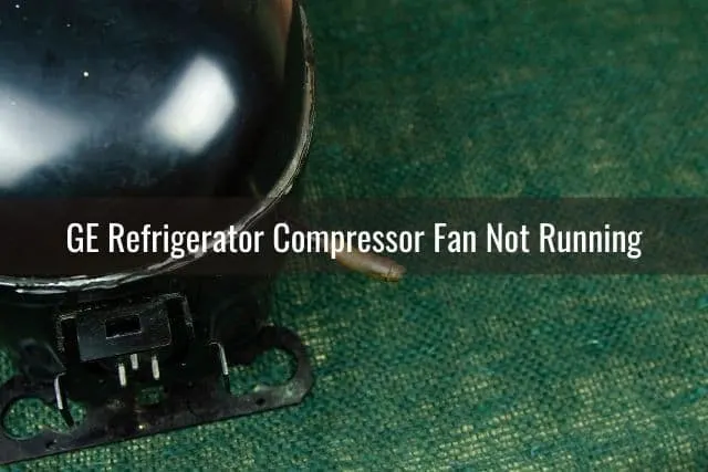Refrigerator compressor