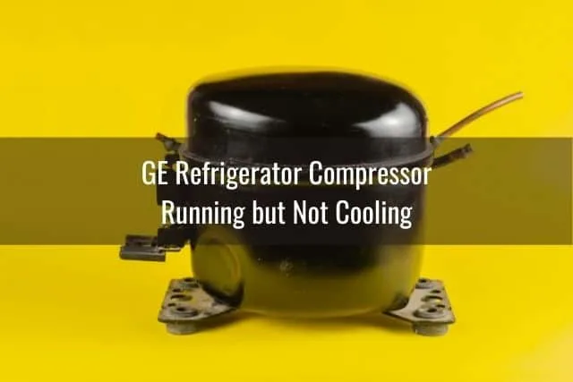 Refrigerator compressor