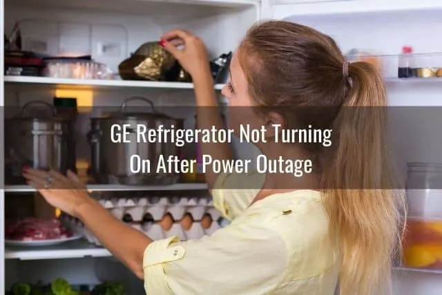 Female looking inside refrigerator freezer