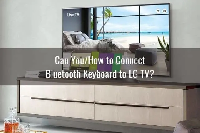 Large screen TV