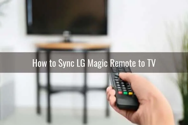 Hand holding a remote that's pointed at the TV