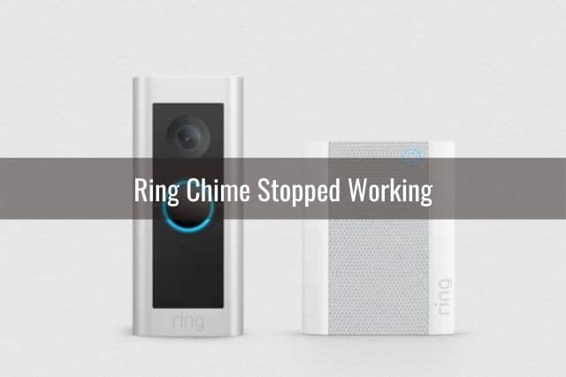 Ring Chime Not Working/Flashing Red/Humming/Buzzing - Ready To DIY