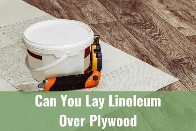 Linoleum floor installation