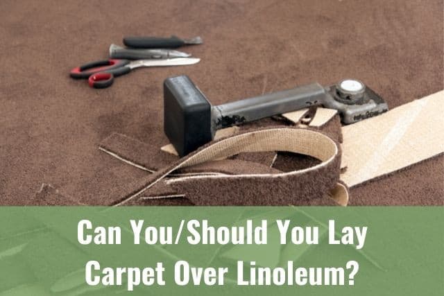 Can You Should You Lay Carpet Over Linoleum Ready To Diy