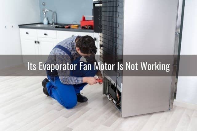 Top Reason GE Fridge Is Not Cooling but Freezer Works - Ready To DIY