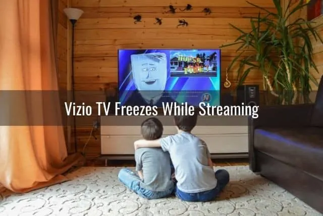 Two young boys watching TV