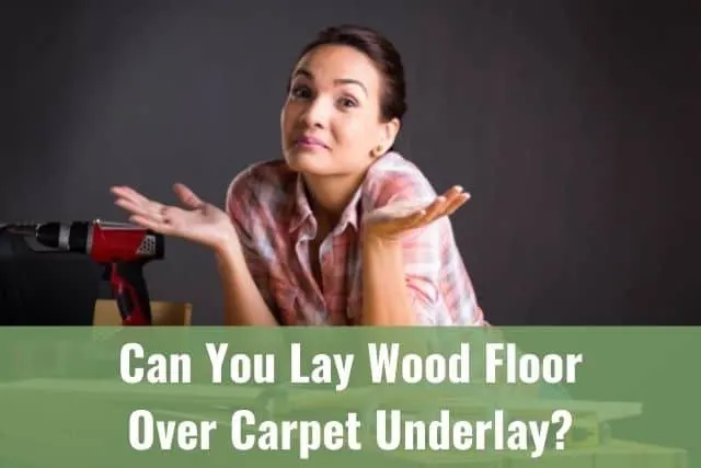 Confused female carpenter