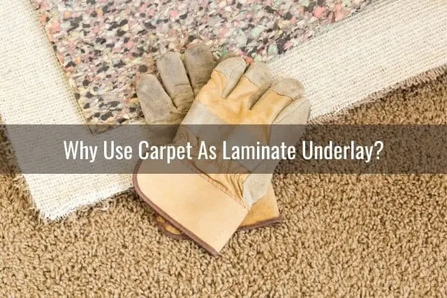 Carpet floor installation