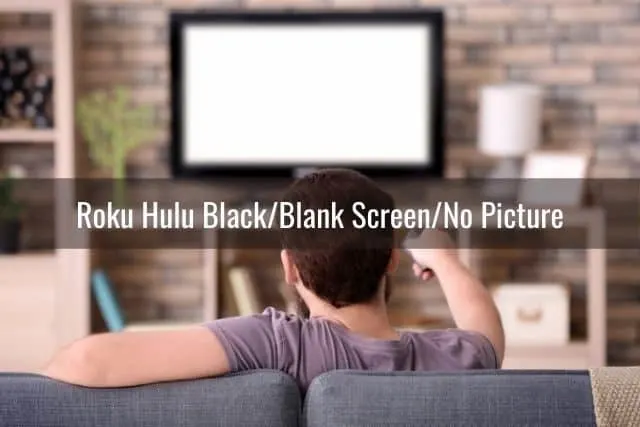 Back view of male pointing remote at white TV screen