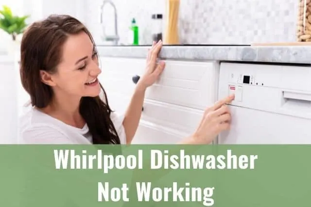 Female pressing dishwasher buttons