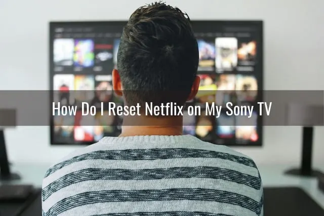 Man watching netflix movies