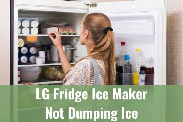 Female checking food in refrigerator freezer