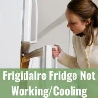 Lady opening the refrigerator