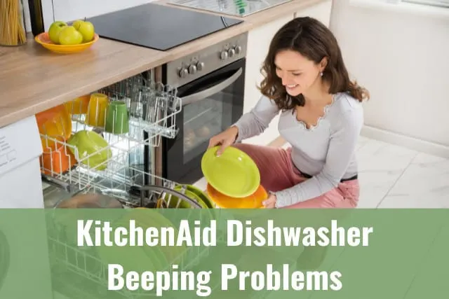 Arranging the plates in dishwasher