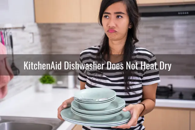 Sad woman while holding the plates