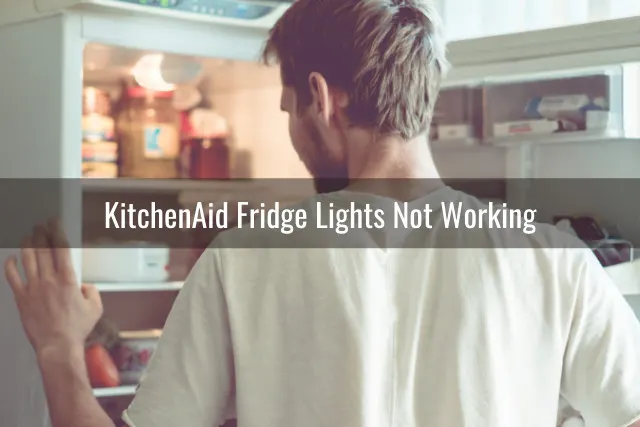 Man checking at the fridge