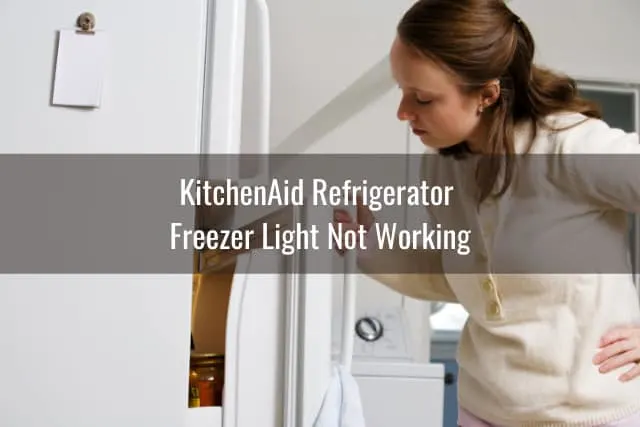 Woman checking at the fridge