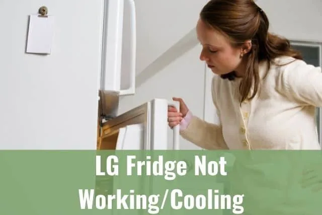 Female opening refrigerator door just slightly