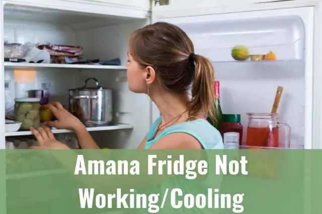 Woman checking at the fridge
