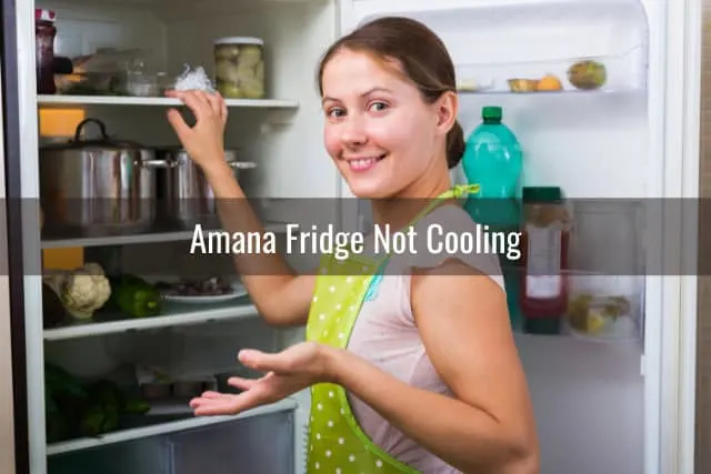 Woman checking at the fridge