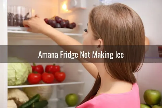 Woman checking at the fridge