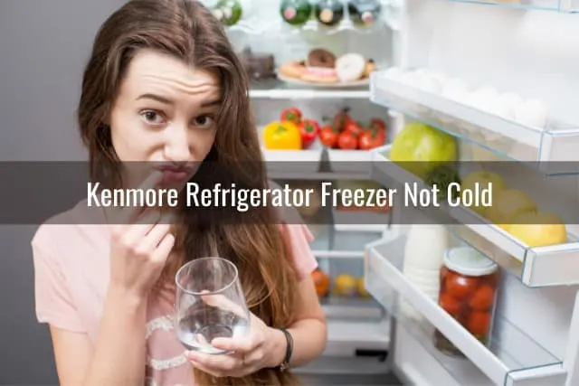 Woman confused behind the fridge