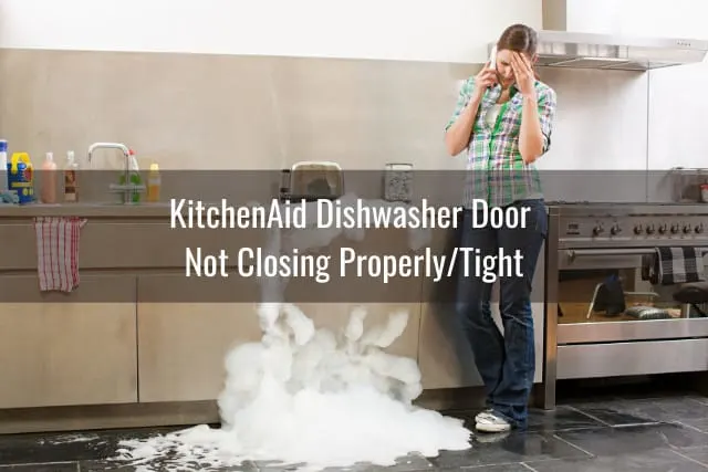 Problematic woman with her dishwasher