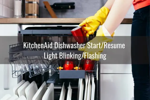 Arranging the plates in dishwasher