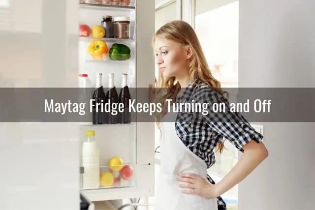 Woman checking at the fridge