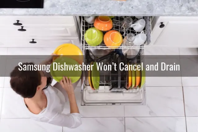 Arranging the plates in dishwasher