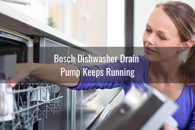 Bosch Dishwasher Not Draining Properly - Ready To DIY