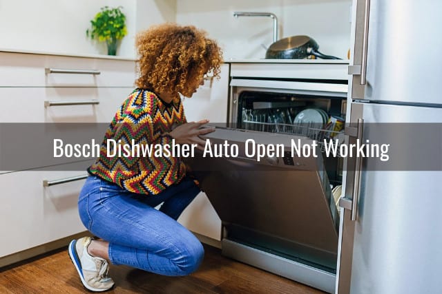 Bosch Dishwasher Not Opening Properly - Ready To DIY